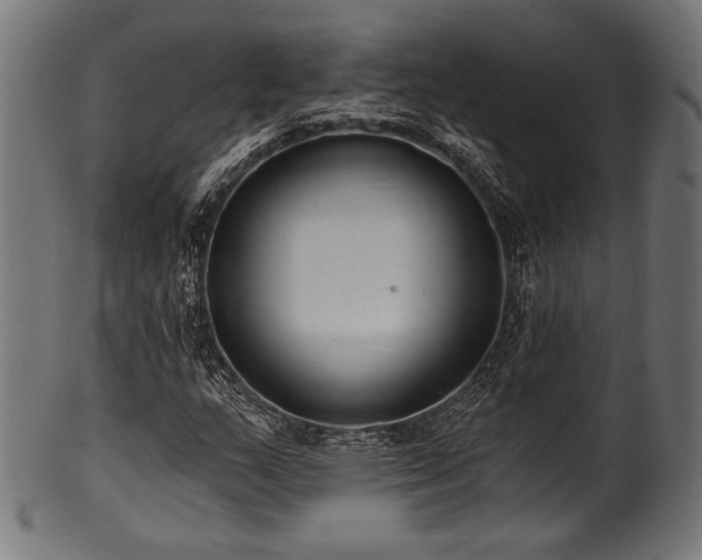 X0000100961159200806241520
