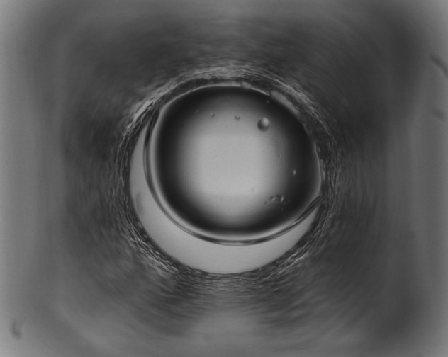 X0000100961160200806241520