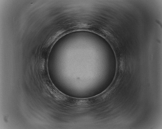X0000100961161200806241520