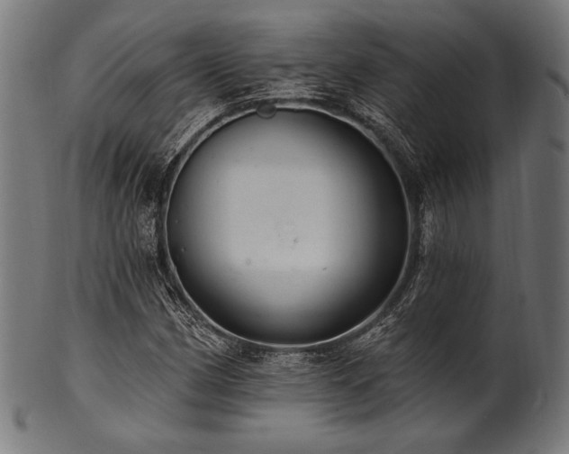 X0000100961162200806241520