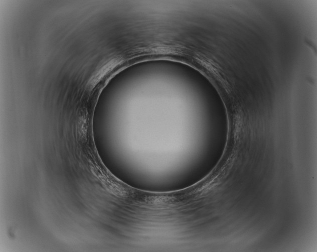 X0000100961163200806241520
