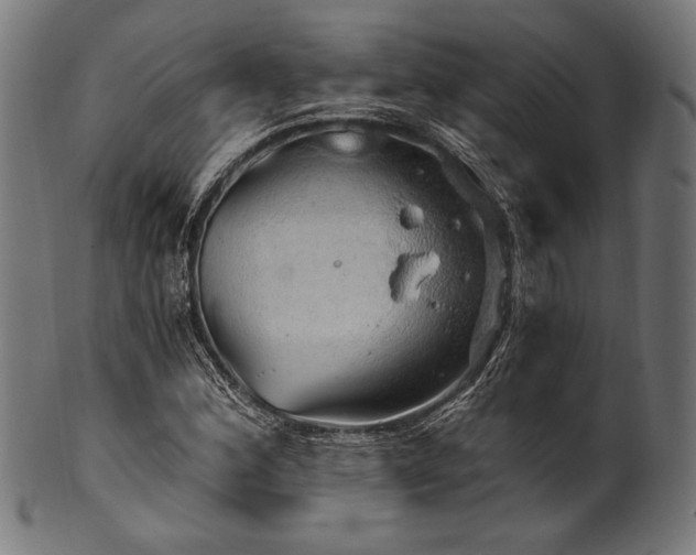X0000100961164200806241520