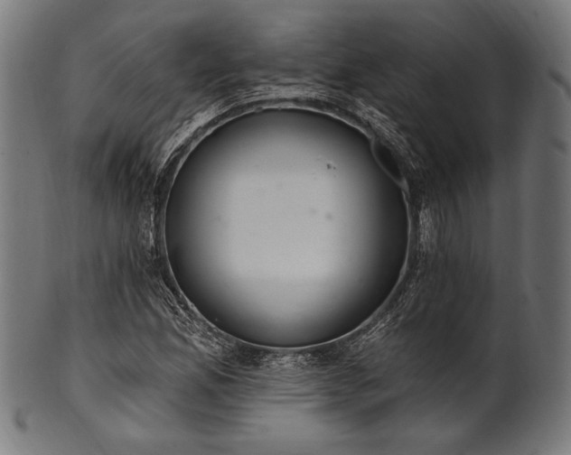 X0000100961165200806241520