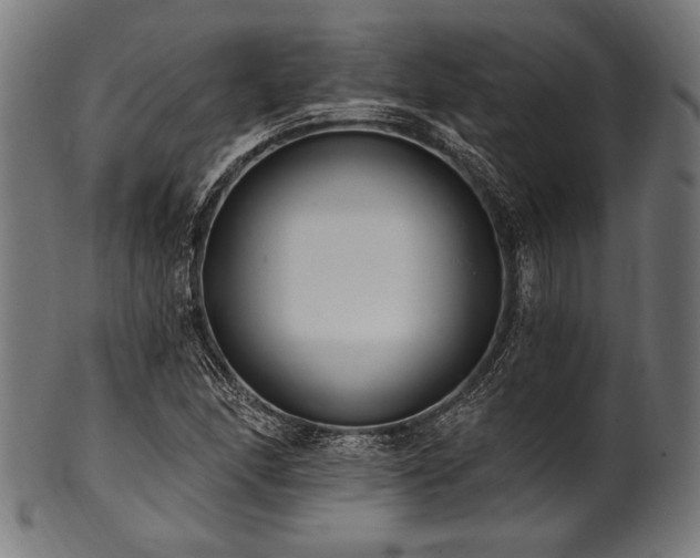 X0000100961166200806241520