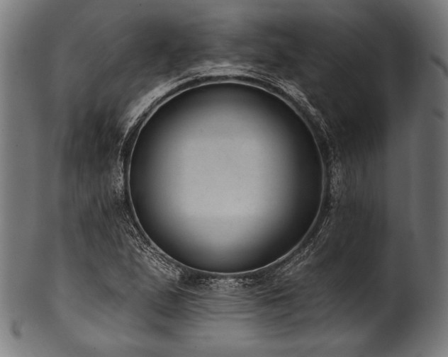 X0000100961167200806241520