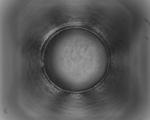 X0000100961168200806241520