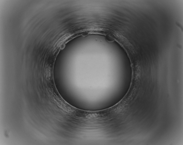 X0000100961169200806241520