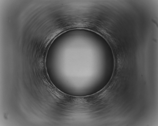 X0000100961170200806241520