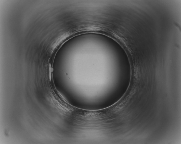 X0000100961171200806241520