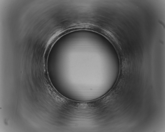 X0000100961172200806241520
