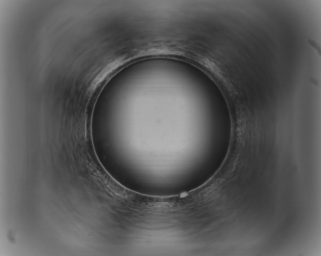 X0000100961173200806241520