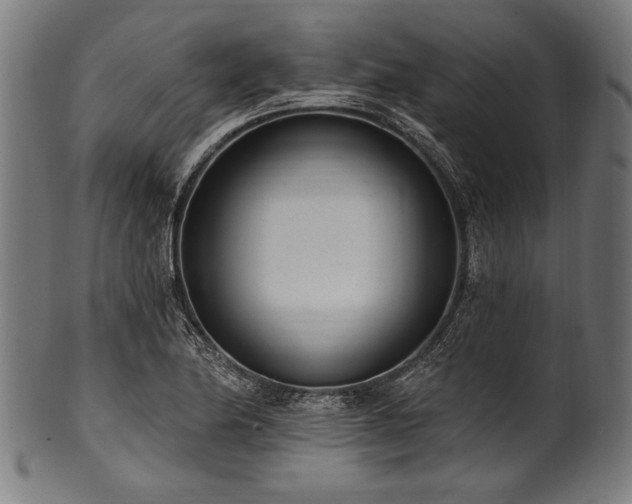 X0000100961174200806241520