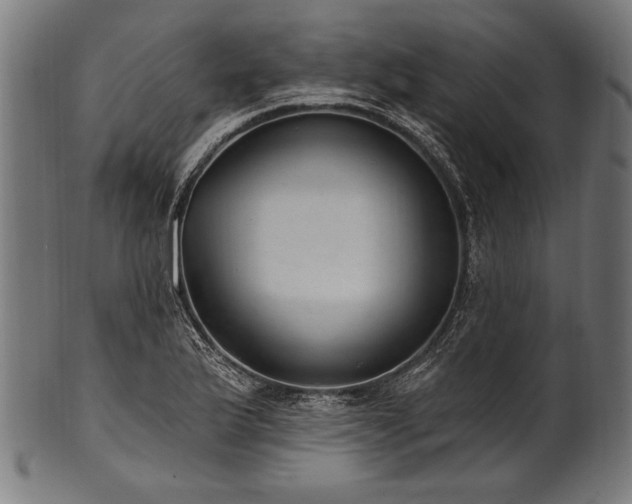 X0000100961175200806241520
