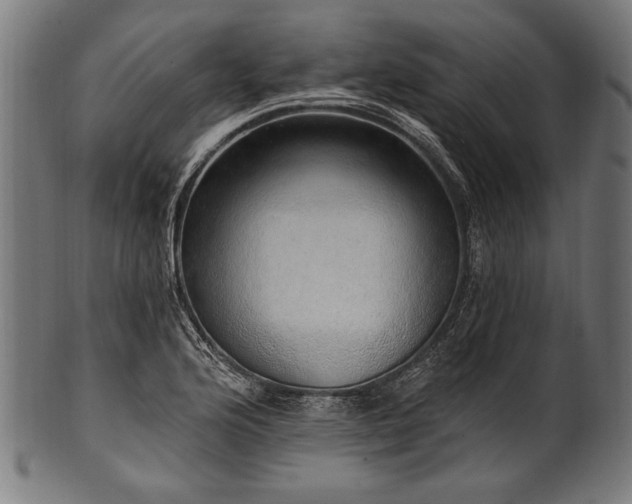 X0000100961176200806241520