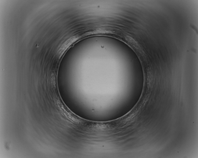 X0000100961177200806241520