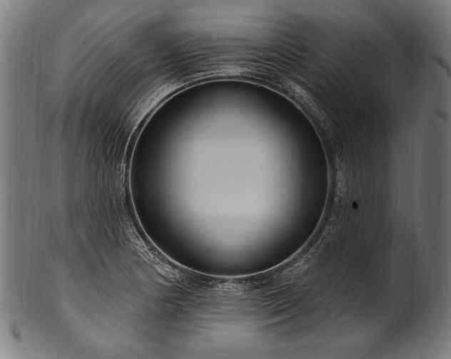 X0000100961178200806241520