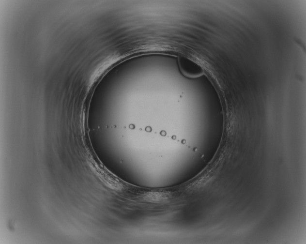 X0000100961179200806241520