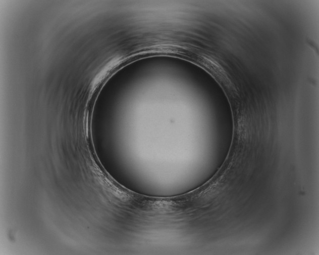 X0000100961180200806241520
