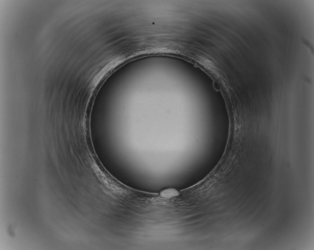X0000100961181200806241520