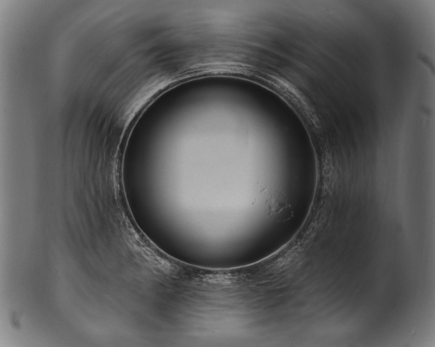 X0000100961182200806241520