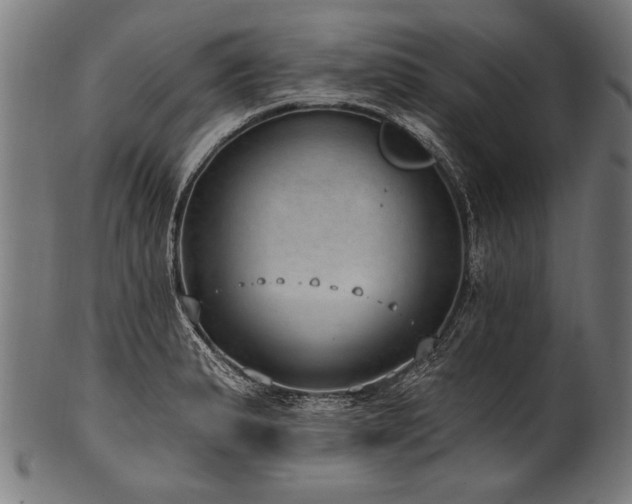 X0000100961183200806241520