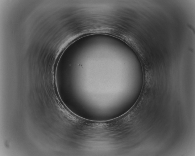 X0000100961184200806241520