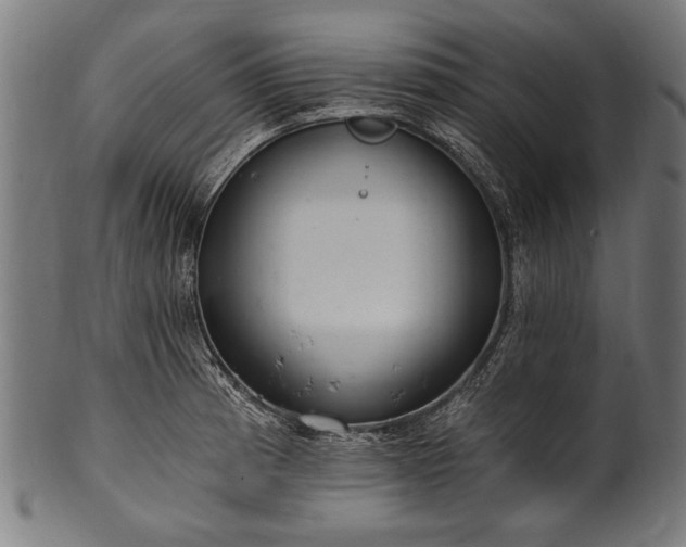 X0000100961185200806241520