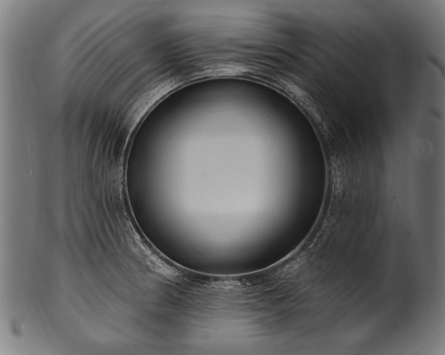 X0000100961186200806241520