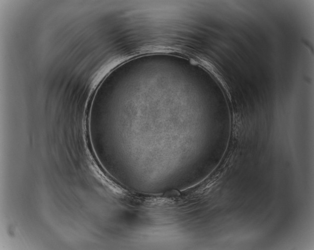 X0000100961187200806241520