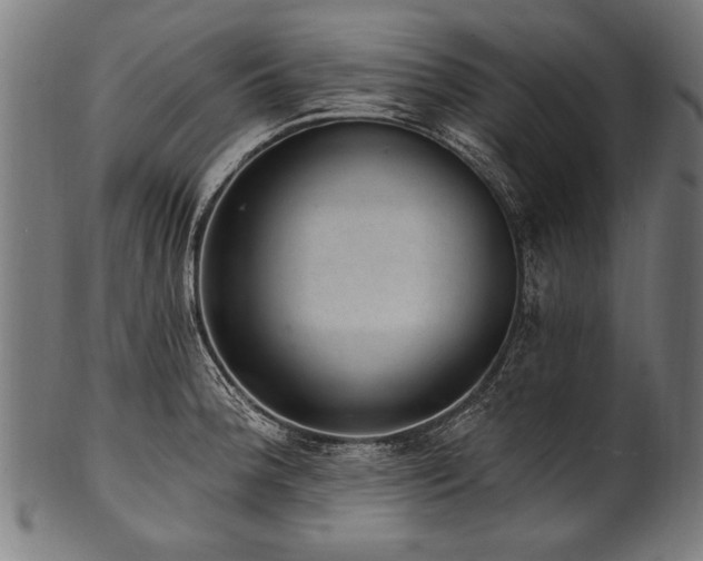 X0000100961188200806241520