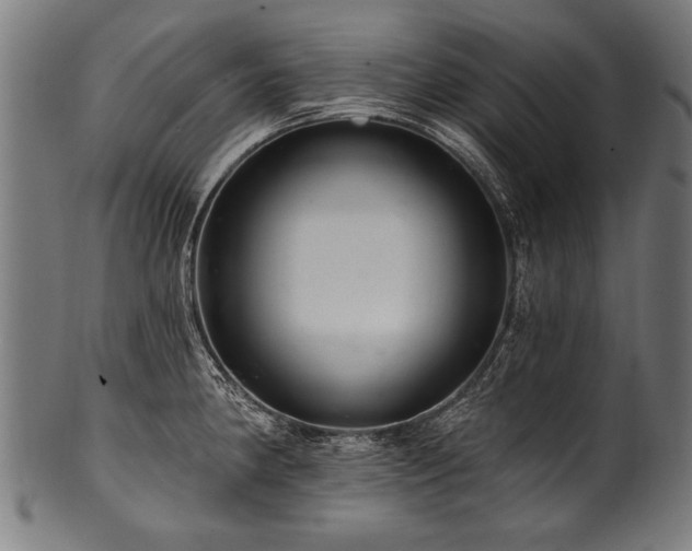 X0000100961190200806241520