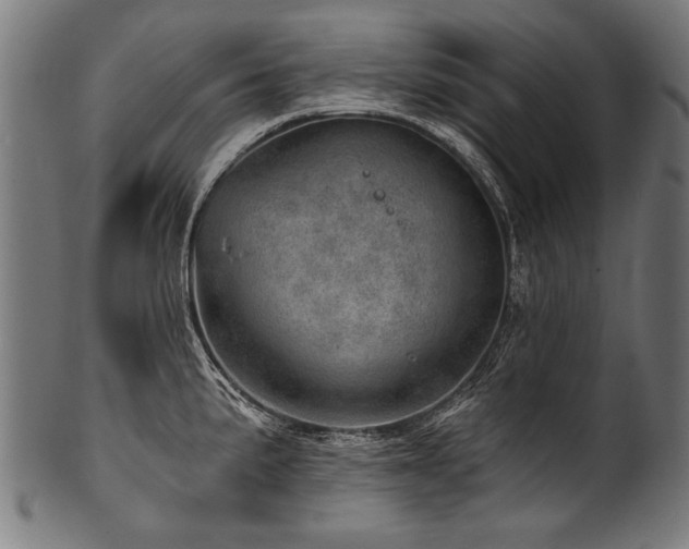X0000100961191200806241520