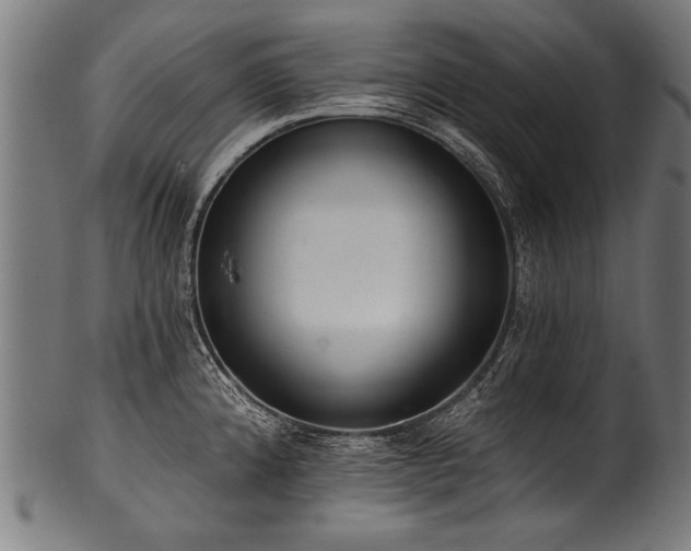 X0000100961192200806241520