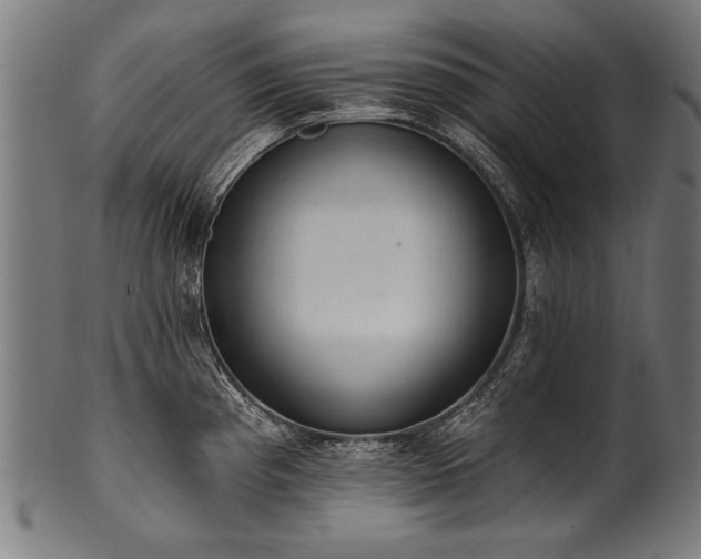 X0000100961193200806241520