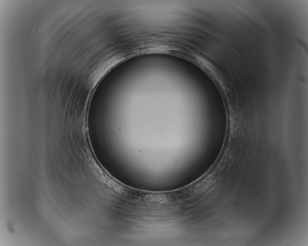 X0000100961194200806241520
