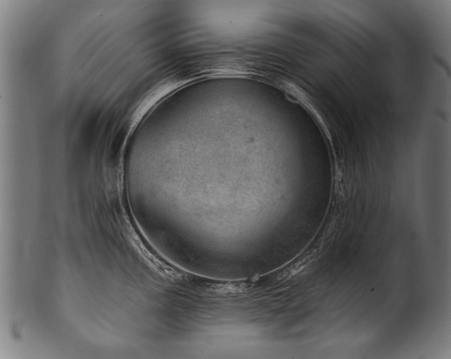 X0000100961195200806241520