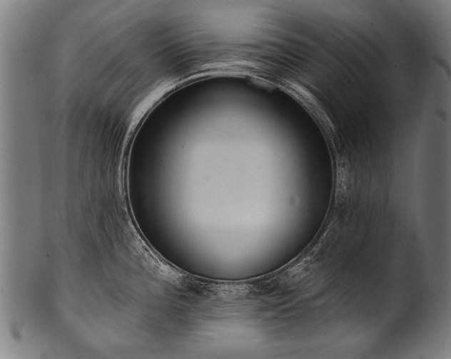X0000100961196200806241520