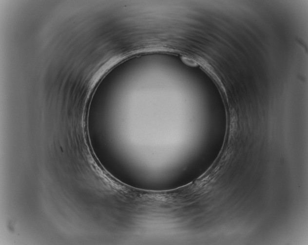 X0000100961197200806241520