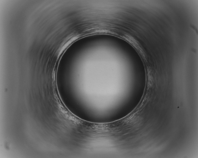 X0000100961198200806241520