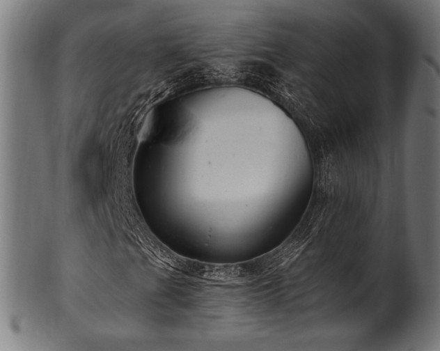 X0000100961201200806241519