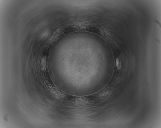 X0000100961203200806241519
