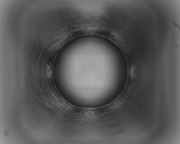 X0000100961204200806241519