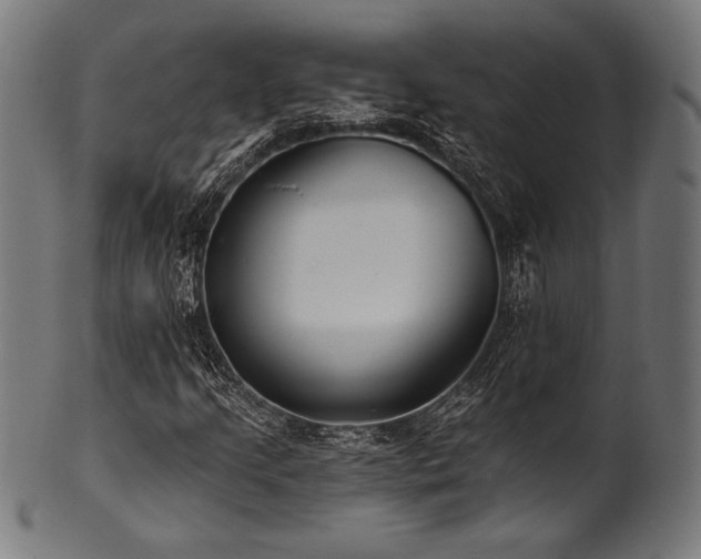 X0000100961205200806241519