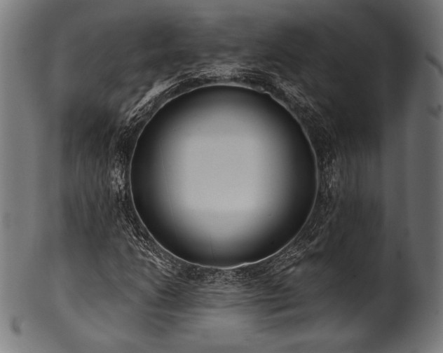 X0000100961206200806241519