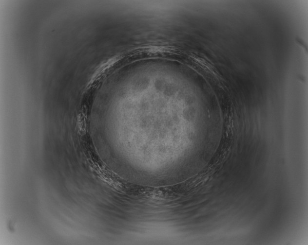 X0000100961207200806241519