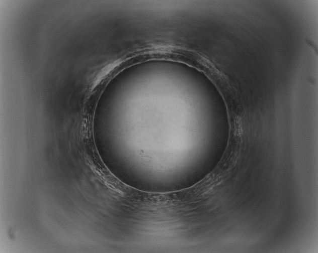 X0000100961208200806241519