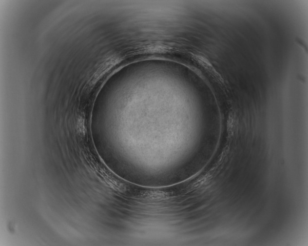 X0000100961209200806241519