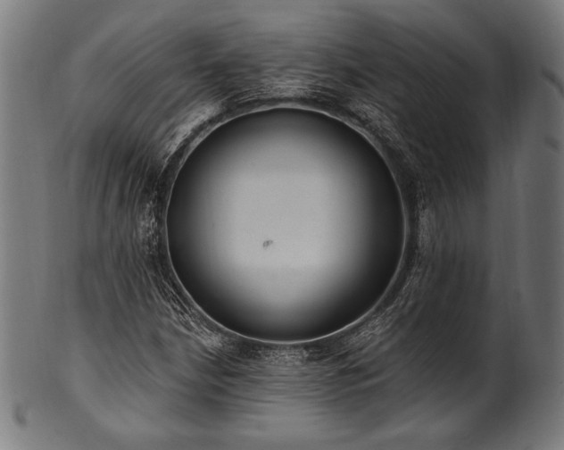 X0000100961210200806241519