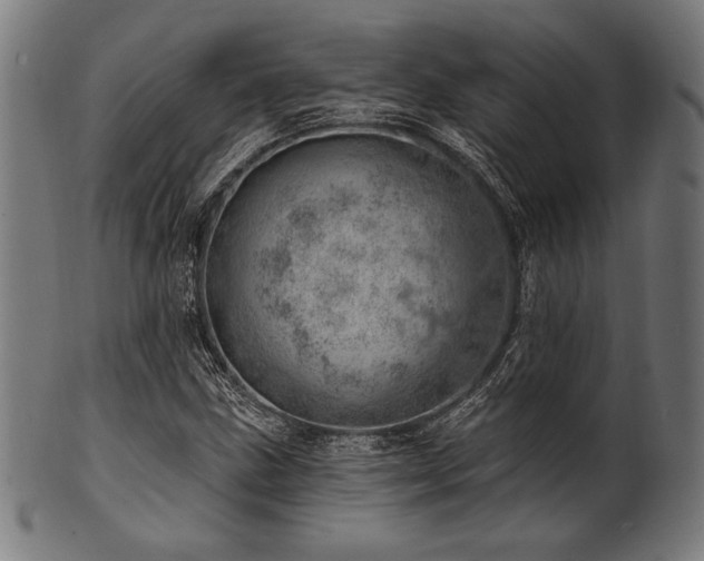 X0000100961211200806241519