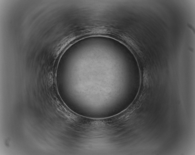 X0000100961212200806241519